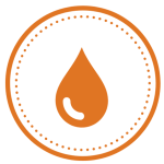 Aceite de oliva virgen