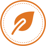 Aceite de oregano y oliva